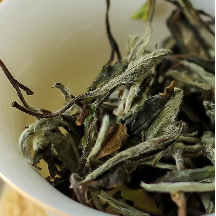 [直播专属]福鼎白茶2018年梨花落·白牡丹炭焙清明当日白牡丹50g