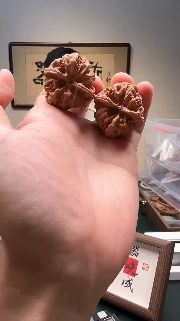 把件文玩核桃37mm+野牛 一对 （随机发不挑选）