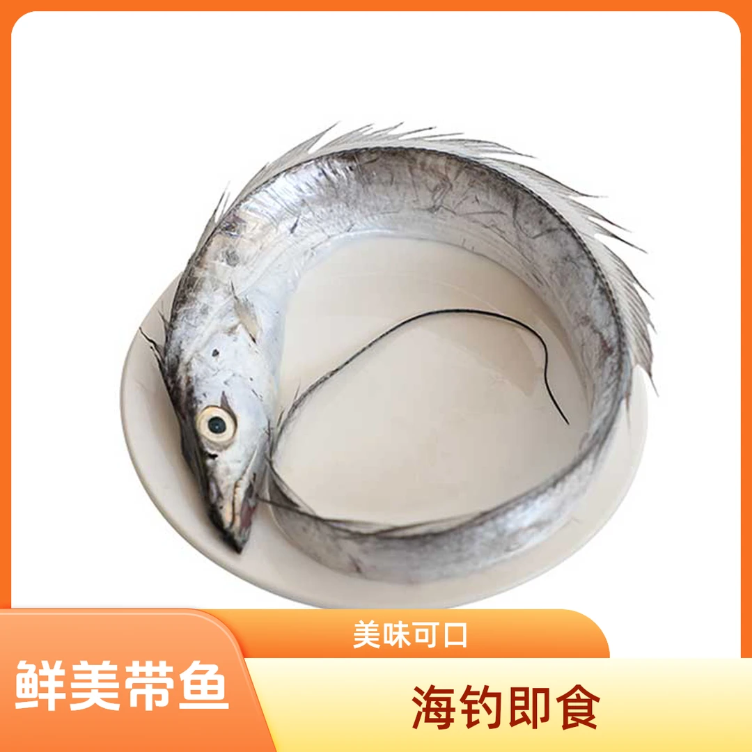 海钓带鱼650-750g/条（线上）带鱼同城送