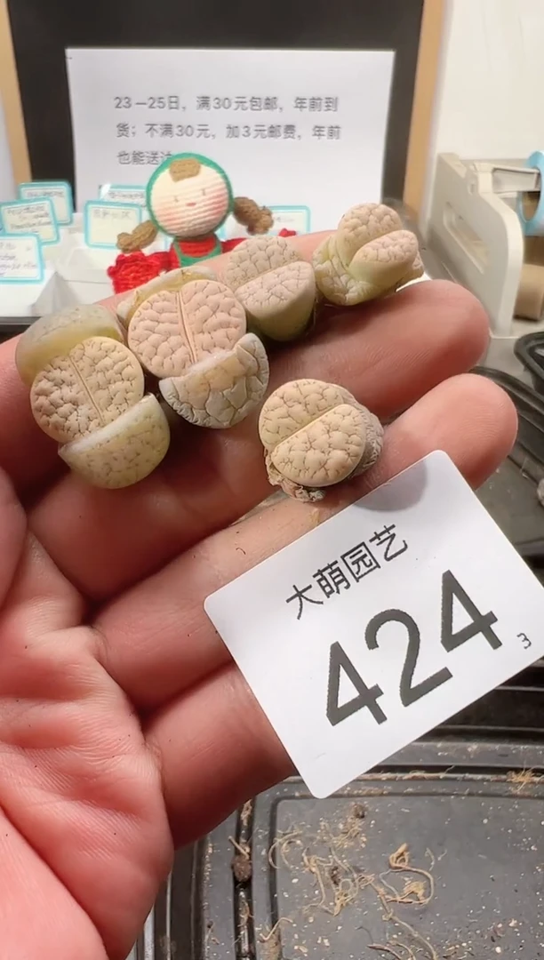 【闪购商品】++++424