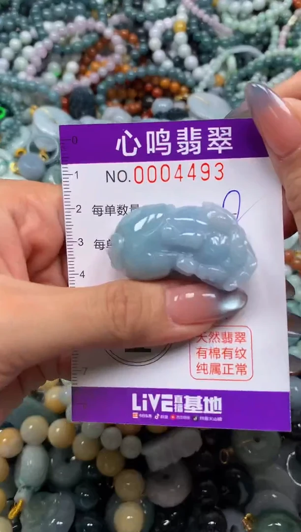 颈饰未镶嵌翡翠闪购004493