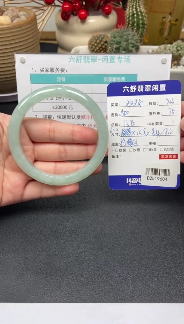 未镶嵌手镯翡翠明**好D2519604