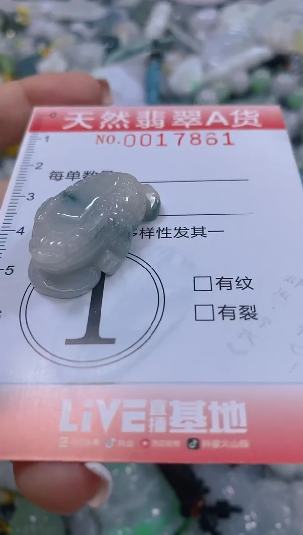 翡翠未镶嵌颈饰闪购0017861