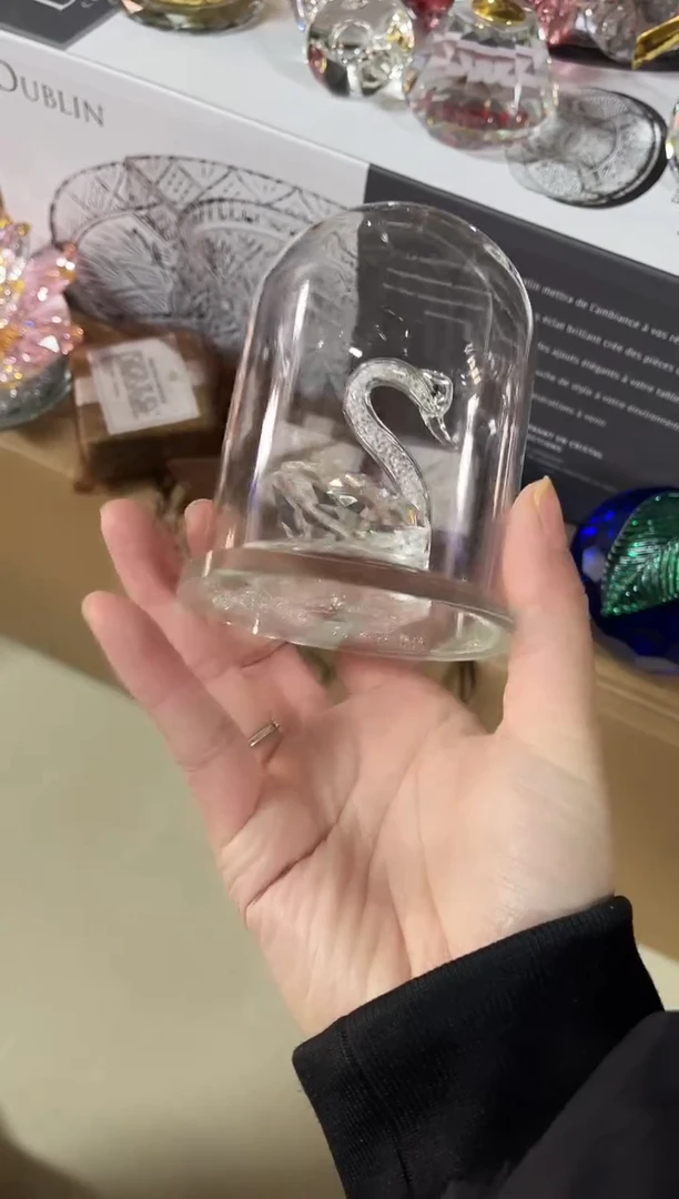 有机玻璃带罩小天鹅