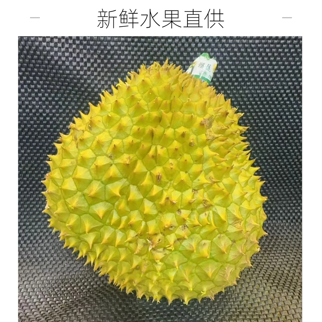 新鲜越南金腰榴莲208一个5斤核小干尧越南