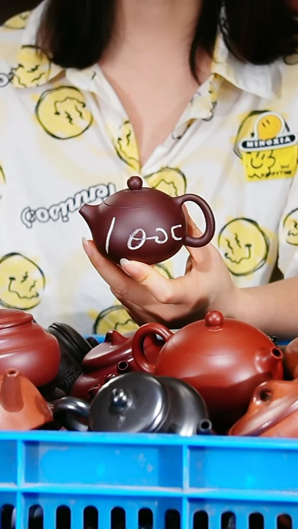 宜兴原矿紫砂壶茶壶100C