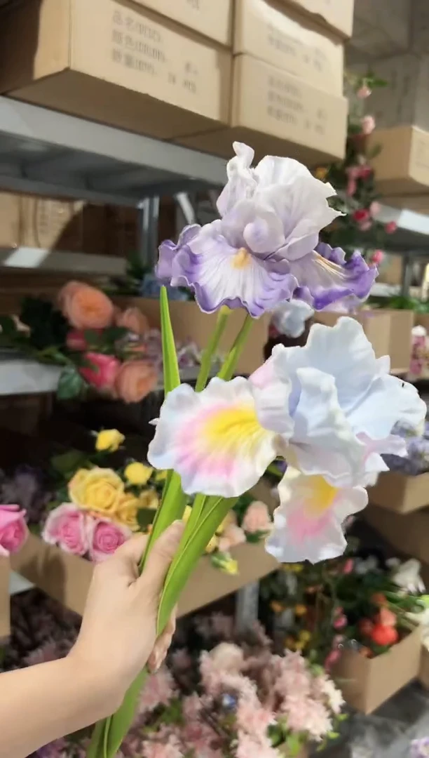 1枝紫色1枝炫彩紫大鸢尾