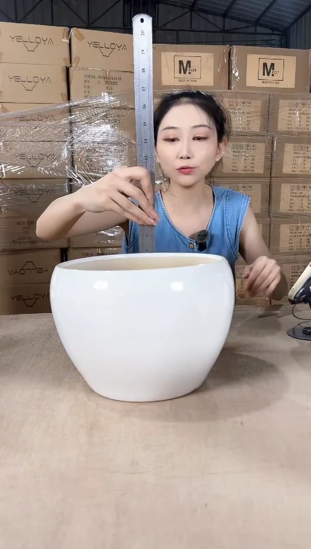 苹果裂纹白色大号24x18