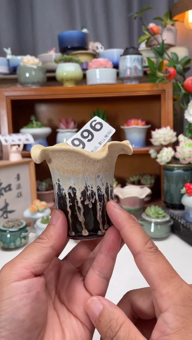 瓷片996知木小芳花盆