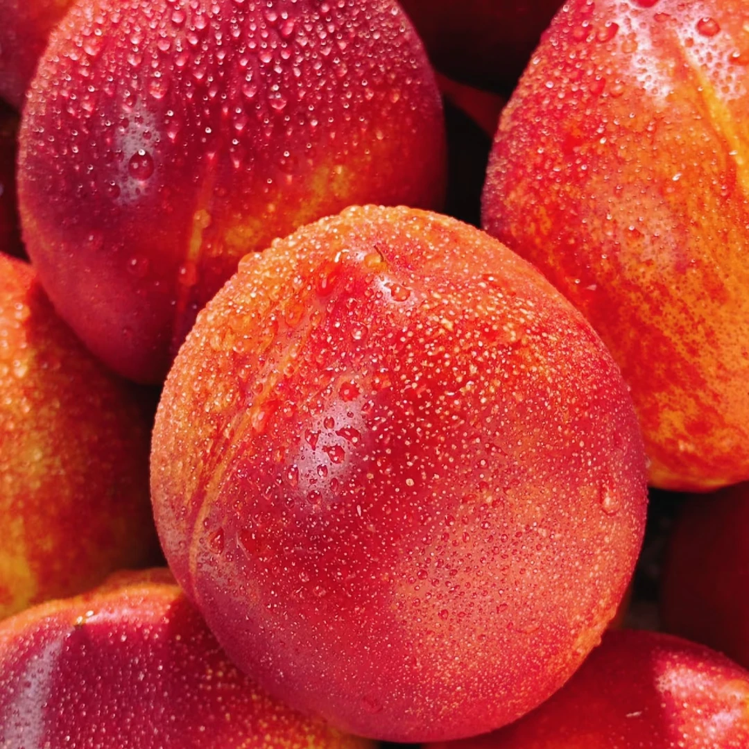 【甜蜜油桃】红油桃2颗约400g山东省