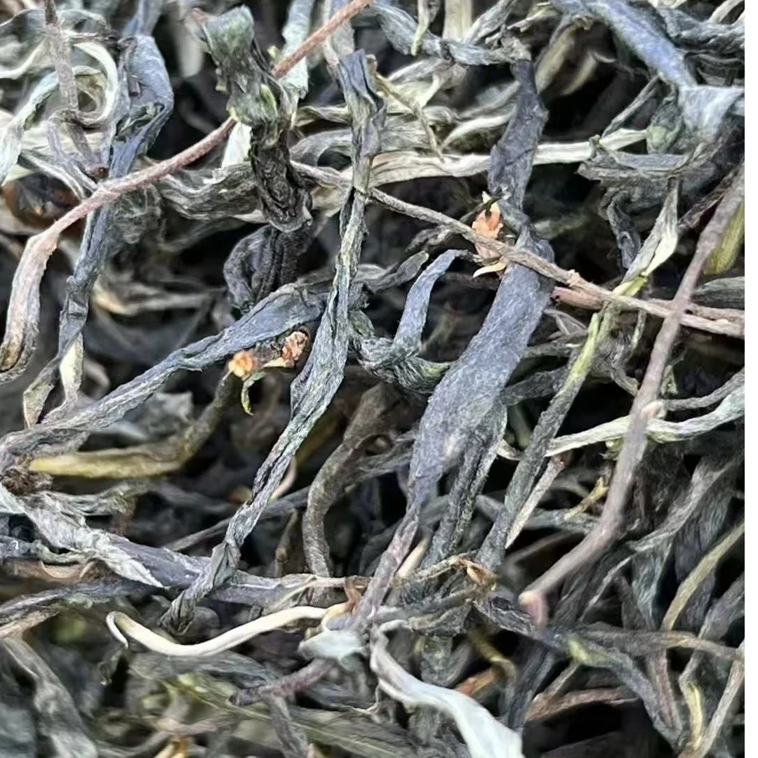 2023年 高杆古树纯料 普洱茶生茶 散茶 500克