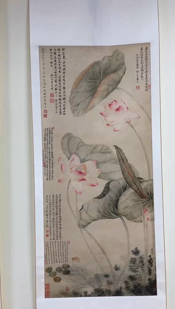 【复刻品】恽寿平  红莲绿藻