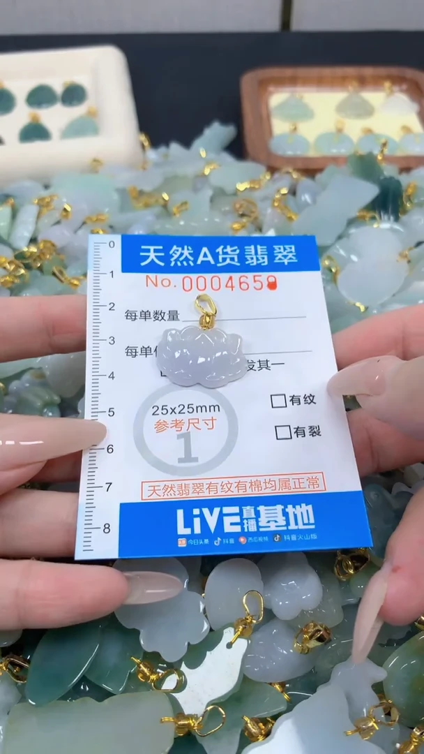 翡翠未镶嵌颈饰净货-4659