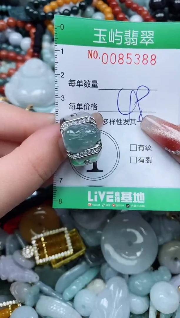 【闪购商品】翡翠颈饰未镶嵌闪购0085388