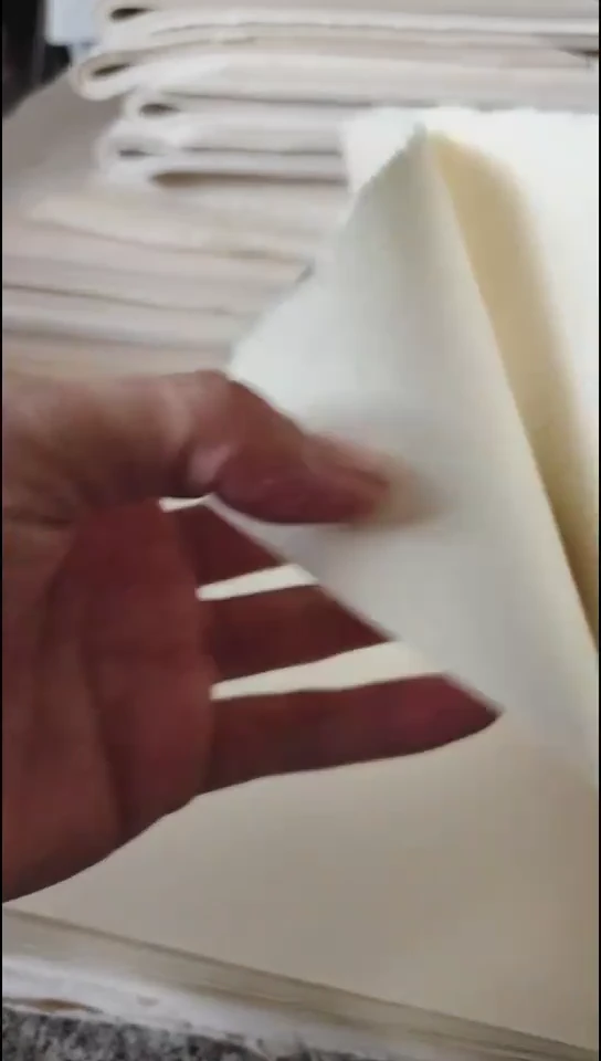 22*85仿古生宣檀皮宣100张