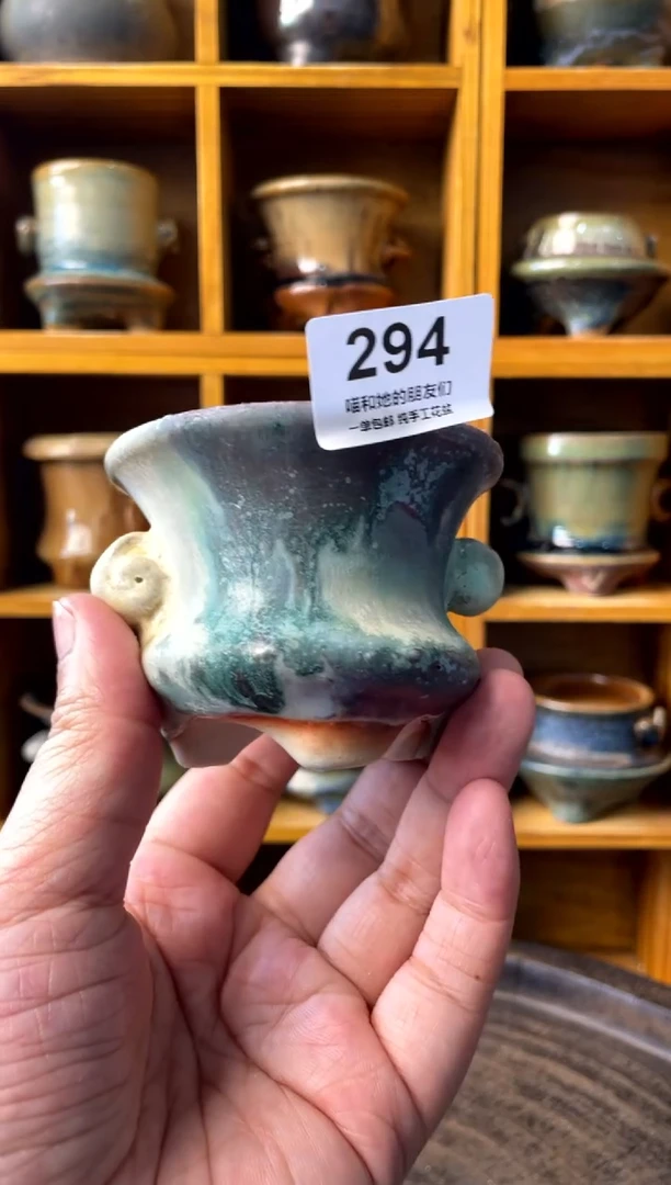 294【多肉花盆多肉盆】