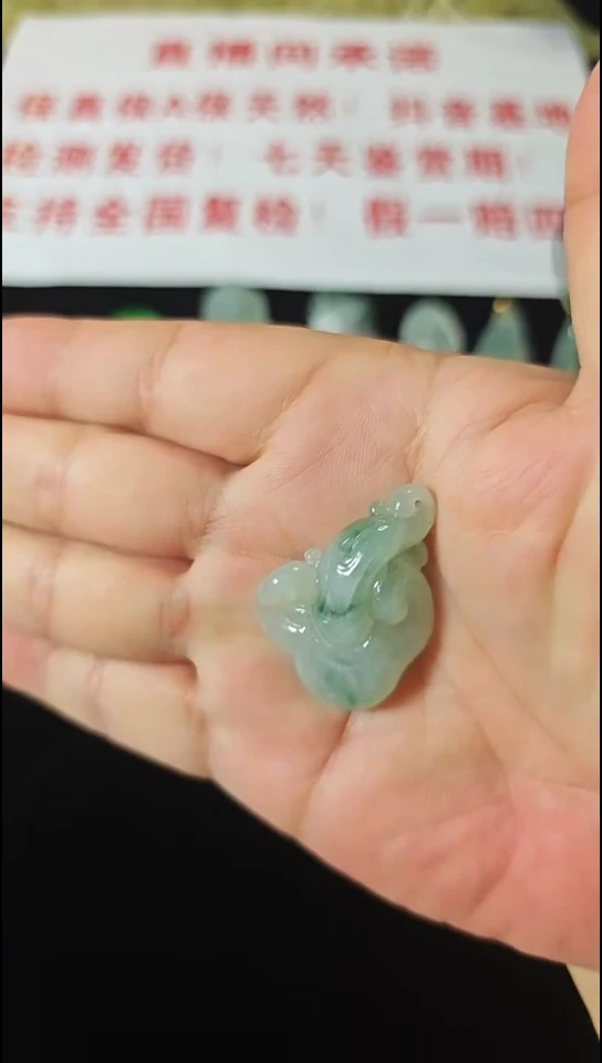 翡翠未镶嵌颈饰A28