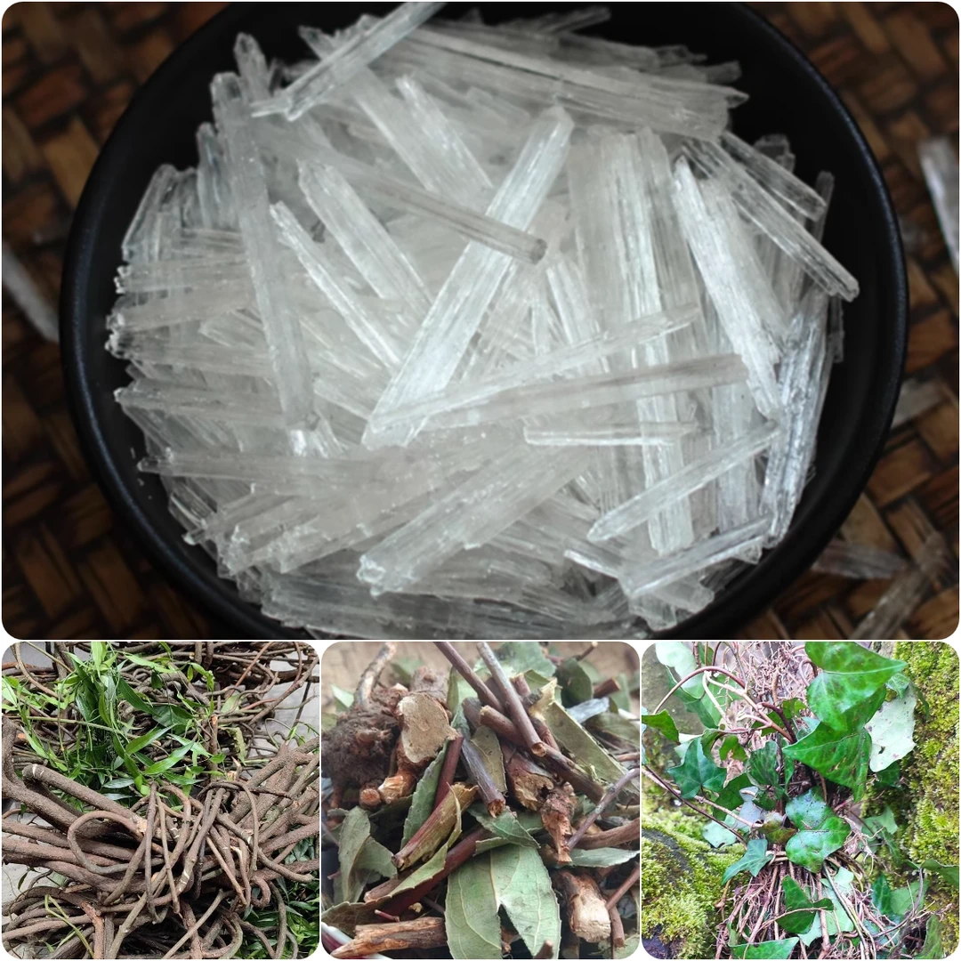 三角枫黑股藤透股香等4组合泡酒料酒