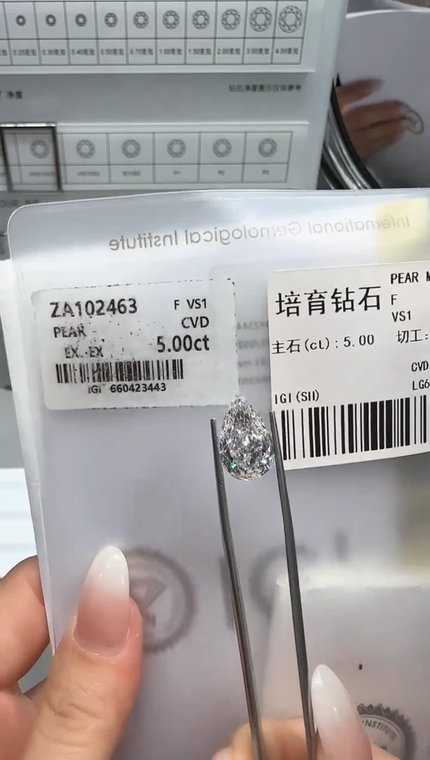 实验室培育钻石裸石@ 5ct 先鉴赏，再定制！