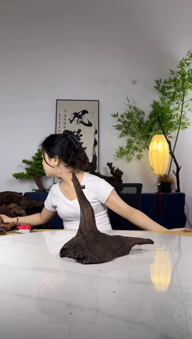 李****）拍这个定向编号13