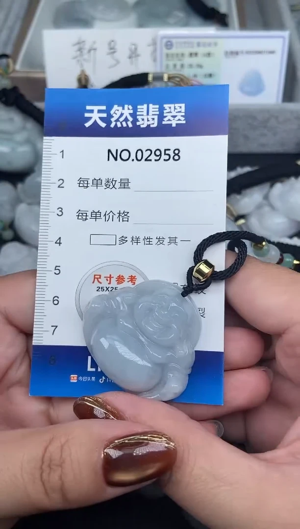 颈饰未镶嵌翡翠纯天然A货翡翠2958