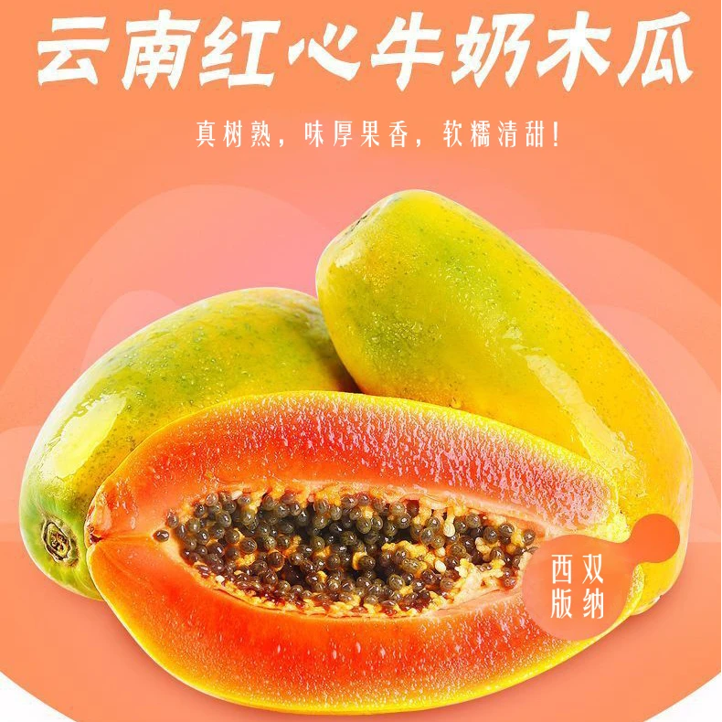 “真树熟”云南红心牛奶木瓜
