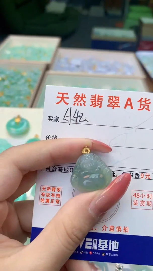 颈饰未镶嵌翡翠天然A货翡翠挂件