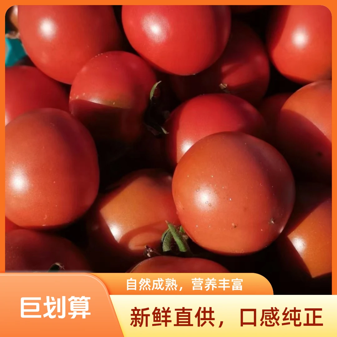 ！个儿头较小 介意勿拍 ！密云特产 原味一号西红柿 小时候的味道 酸甜可口原味一号西红柿北京市北京市北京市