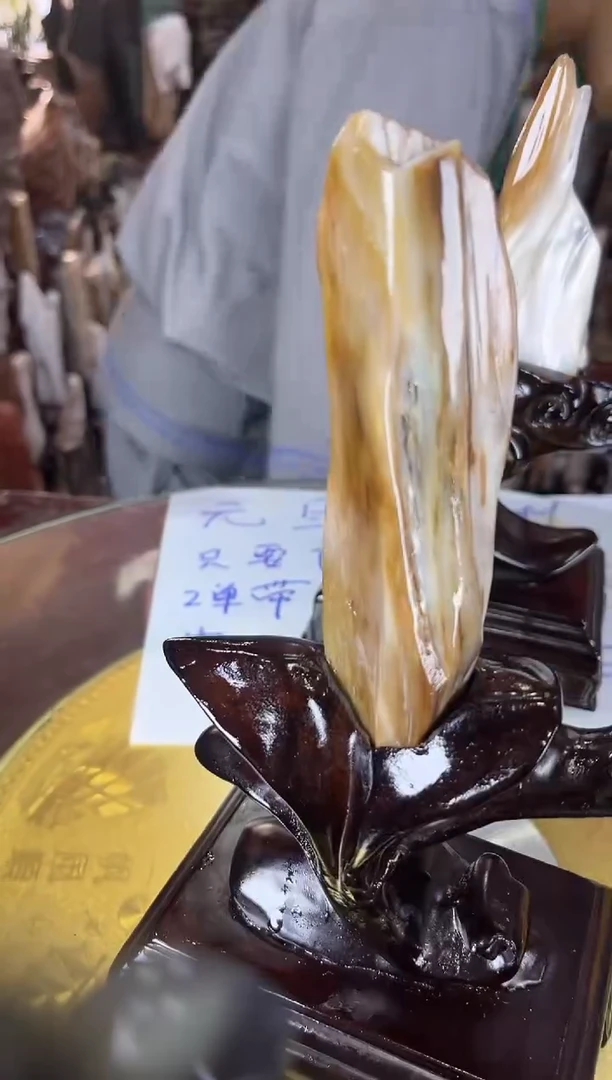 未镶嵌珠宝奇石硅化玉缅甸天然树化玉精品摆件