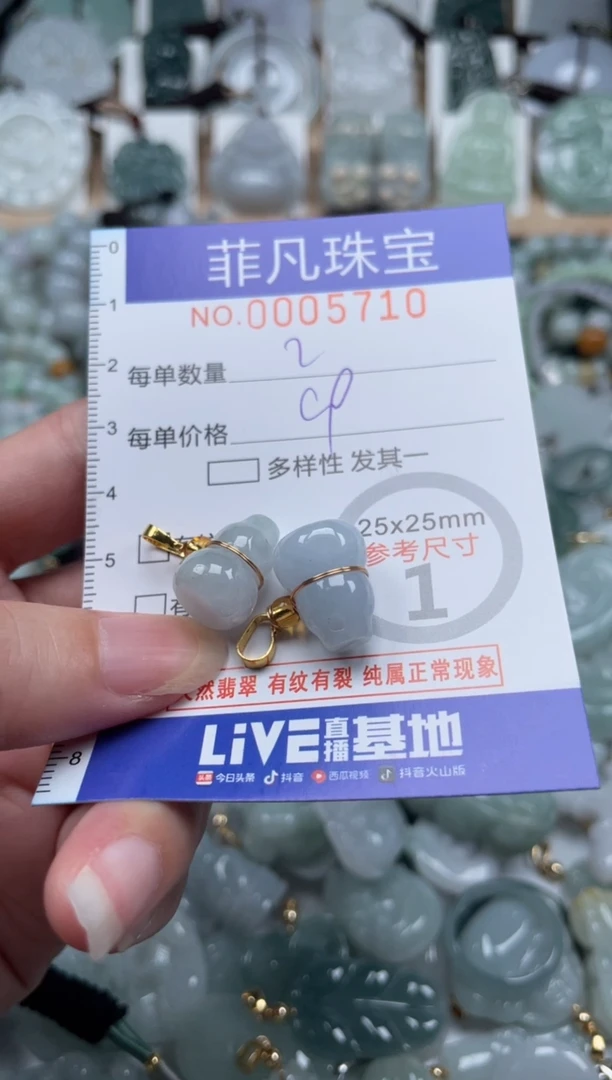 翡翠未镶嵌颈饰00..5710