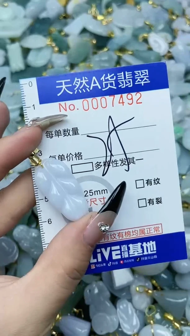 【闪购商品】翡翠颈饰未镶嵌天然A货翡翠