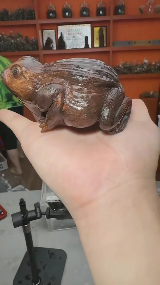 摆件沉香s30号多样性发一