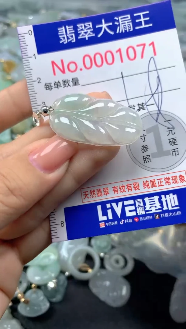 颈饰未镶嵌翡翠1071