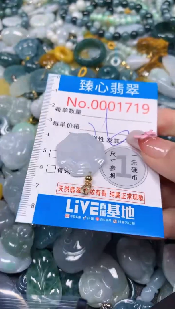 【闪购商品】翡翠颈饰未镶嵌含绳0001719