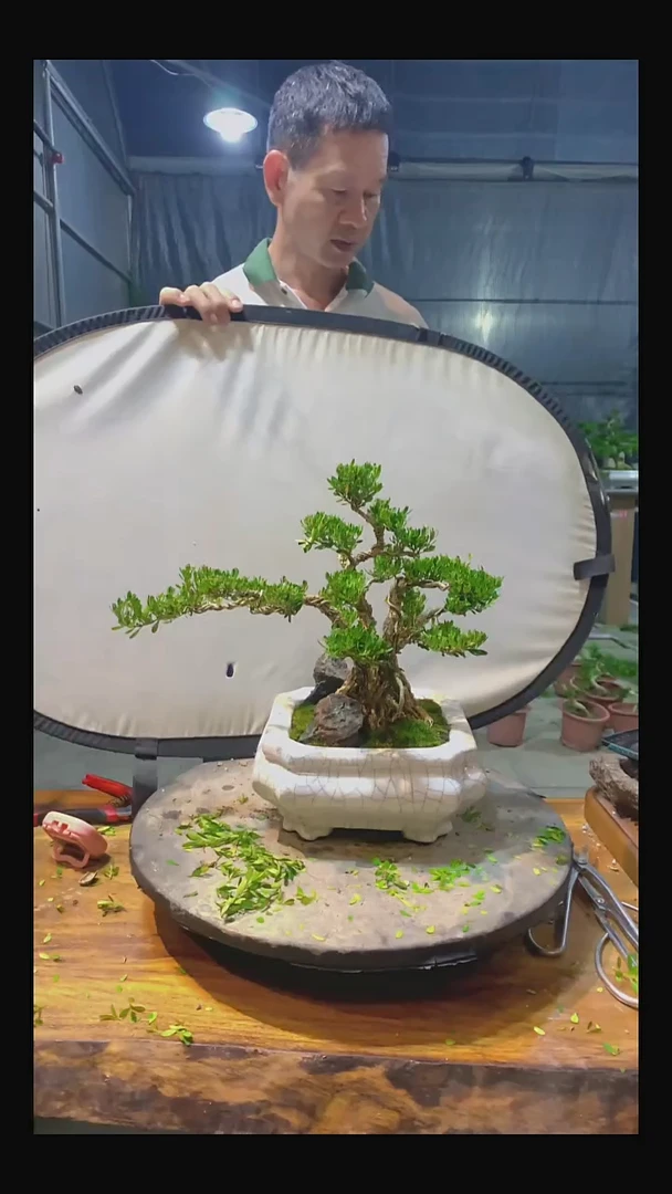 完全开放偷****后111111111111