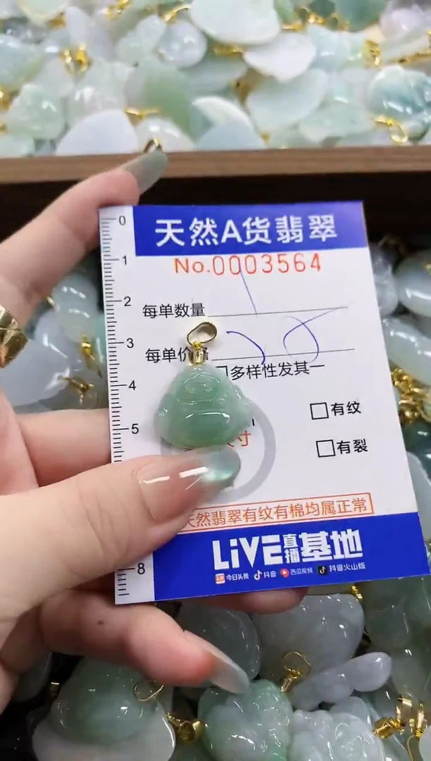 颈饰未镶嵌翡翠天然A货翡翠