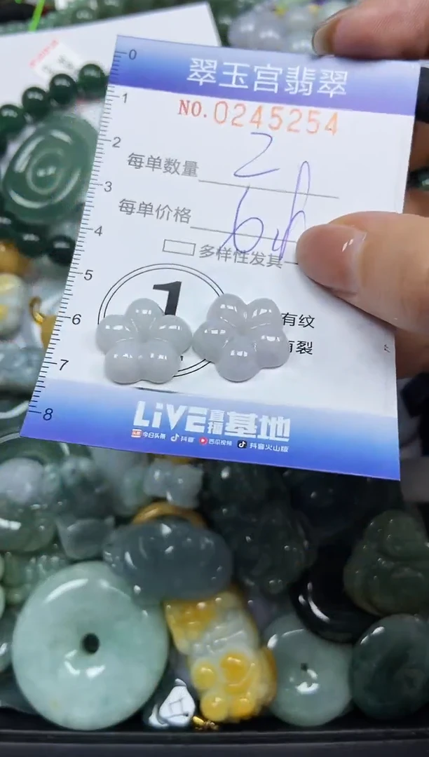 颈饰未镶嵌翡翠闪购C0245254