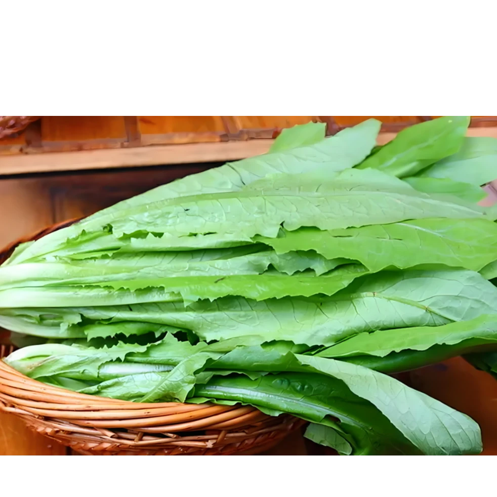 油麦菜500g