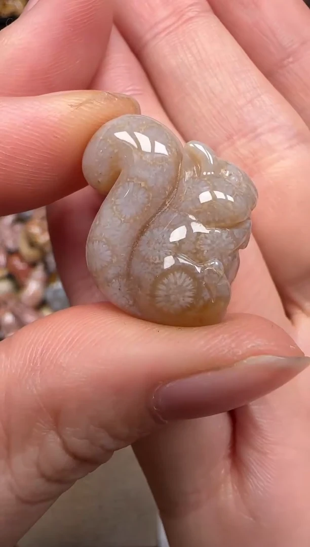 硅化珊瑚（珊瑚玉）未镶嵌颈饰040