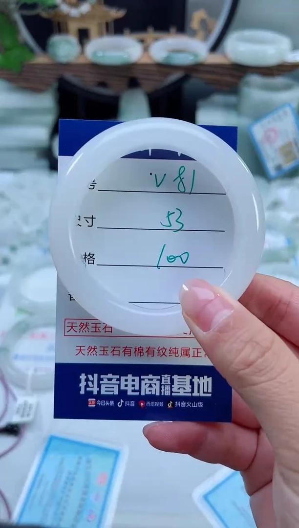 未镶嵌首饰石英质玉（天山翠）81