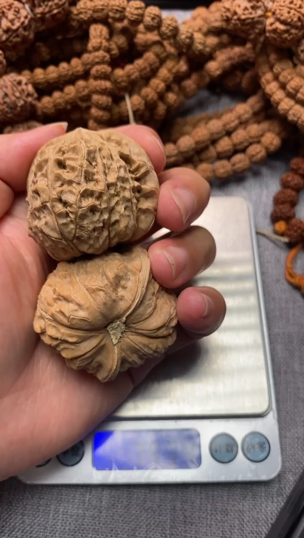 吊坠金刚菩提南瓜墩全品龟背46