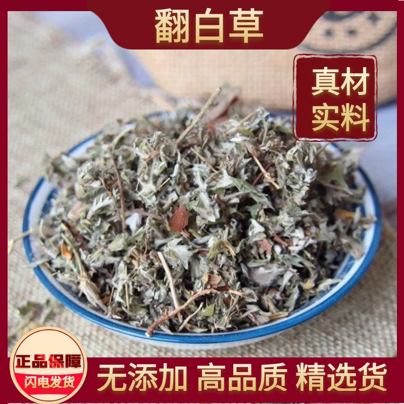 翻白草中药材正品整颗新货无硫带根叶下白泡水野生泡茶番白草滋补