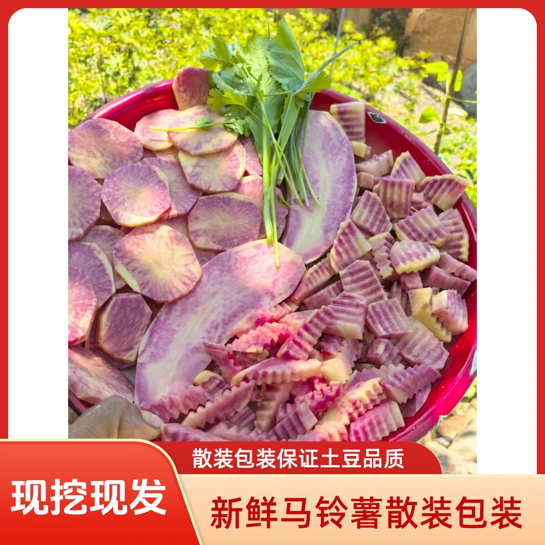 云南大理2025新鲜七彩土豆马铃薯