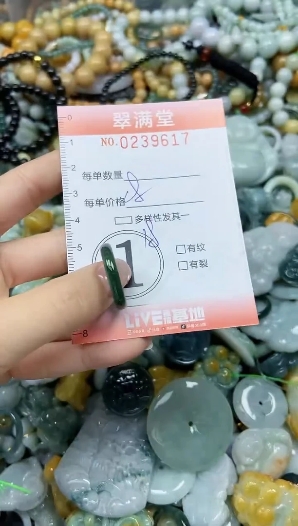 颈饰未镶嵌翡翠闪购0239617