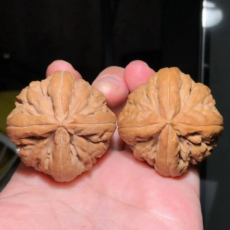 諘帝文化 霸王龙四棱