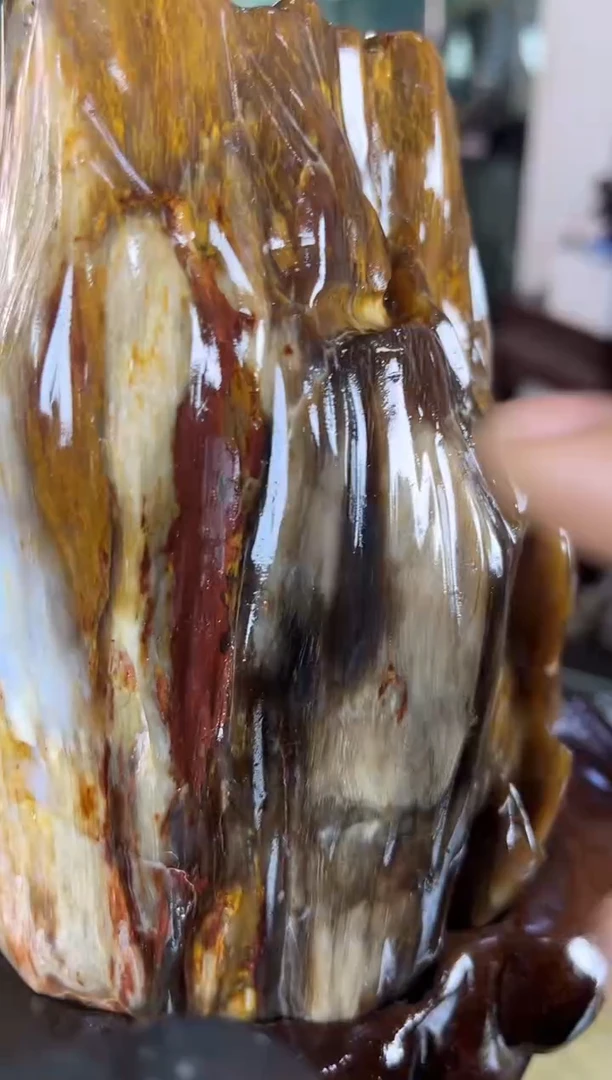 未镶嵌珠宝奇石硅化玉缅甸天然树化玉精品居家摆件