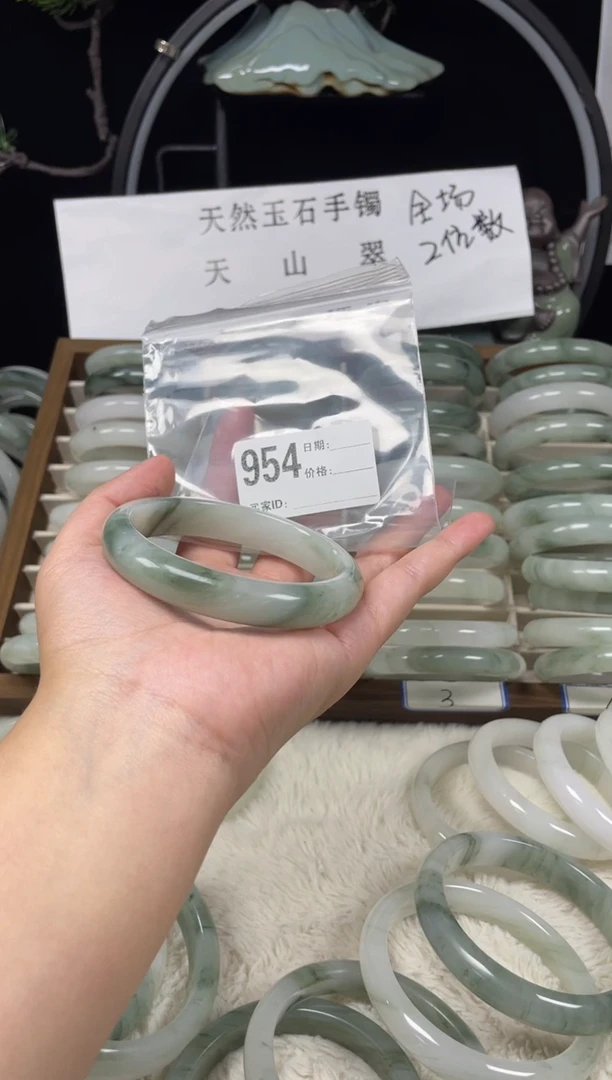 未镶嵌手镯石英质玉（天山翠）954