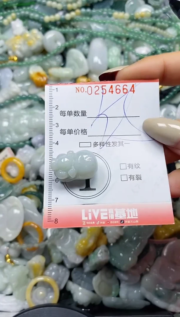 颈饰未镶嵌翡翠闪购0254664