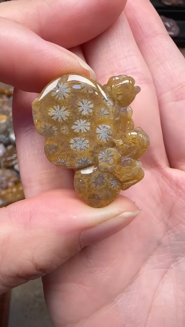 颈饰未镶嵌硅化珊瑚（珊瑚玉）389