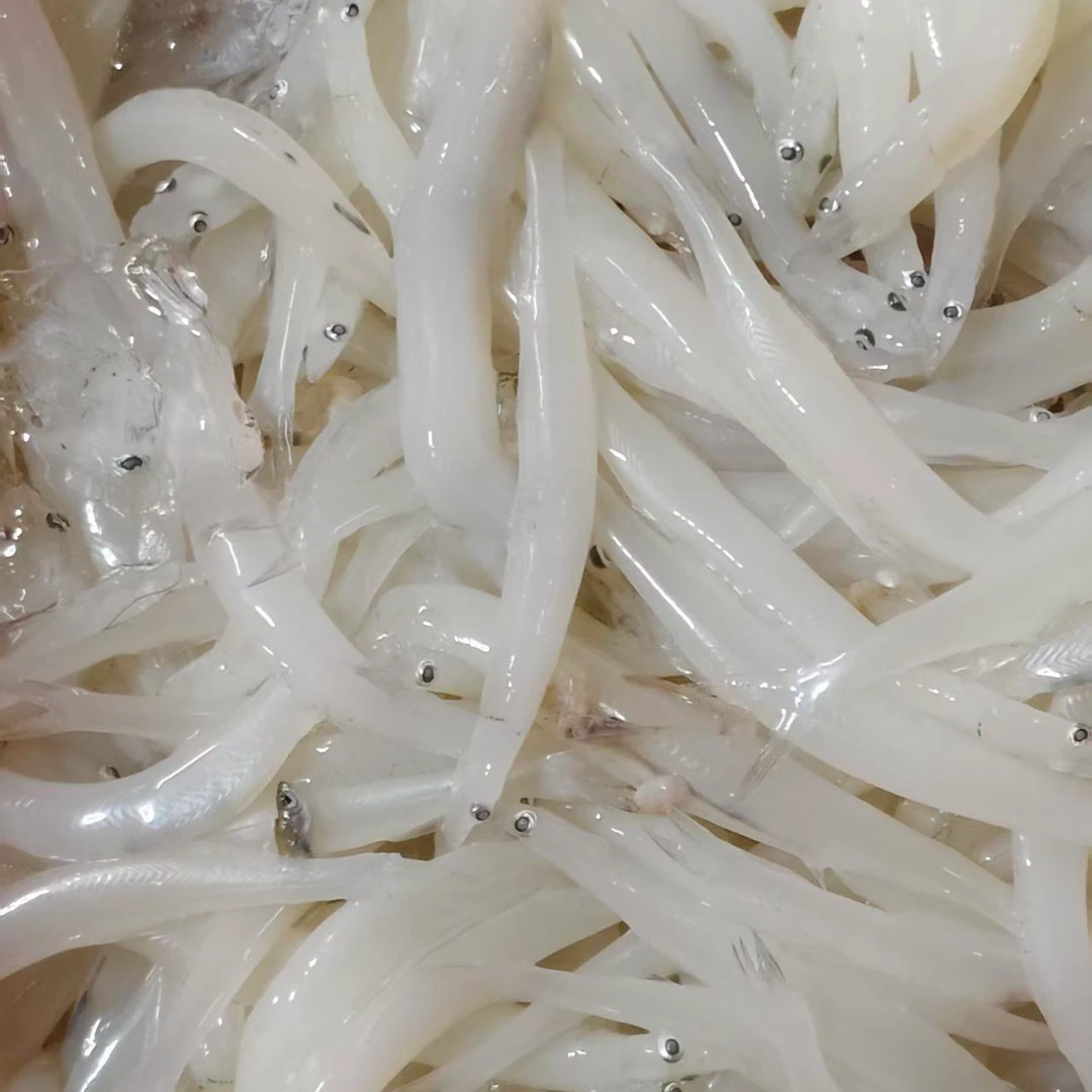 江西湖里银鱼 | 顺丰包邮